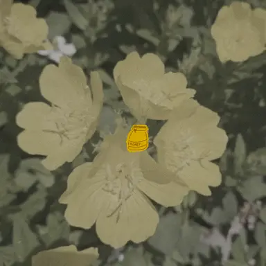 Profile image of コ・トゥルロプ