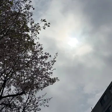 Profile image of ㅂㅅㅎ