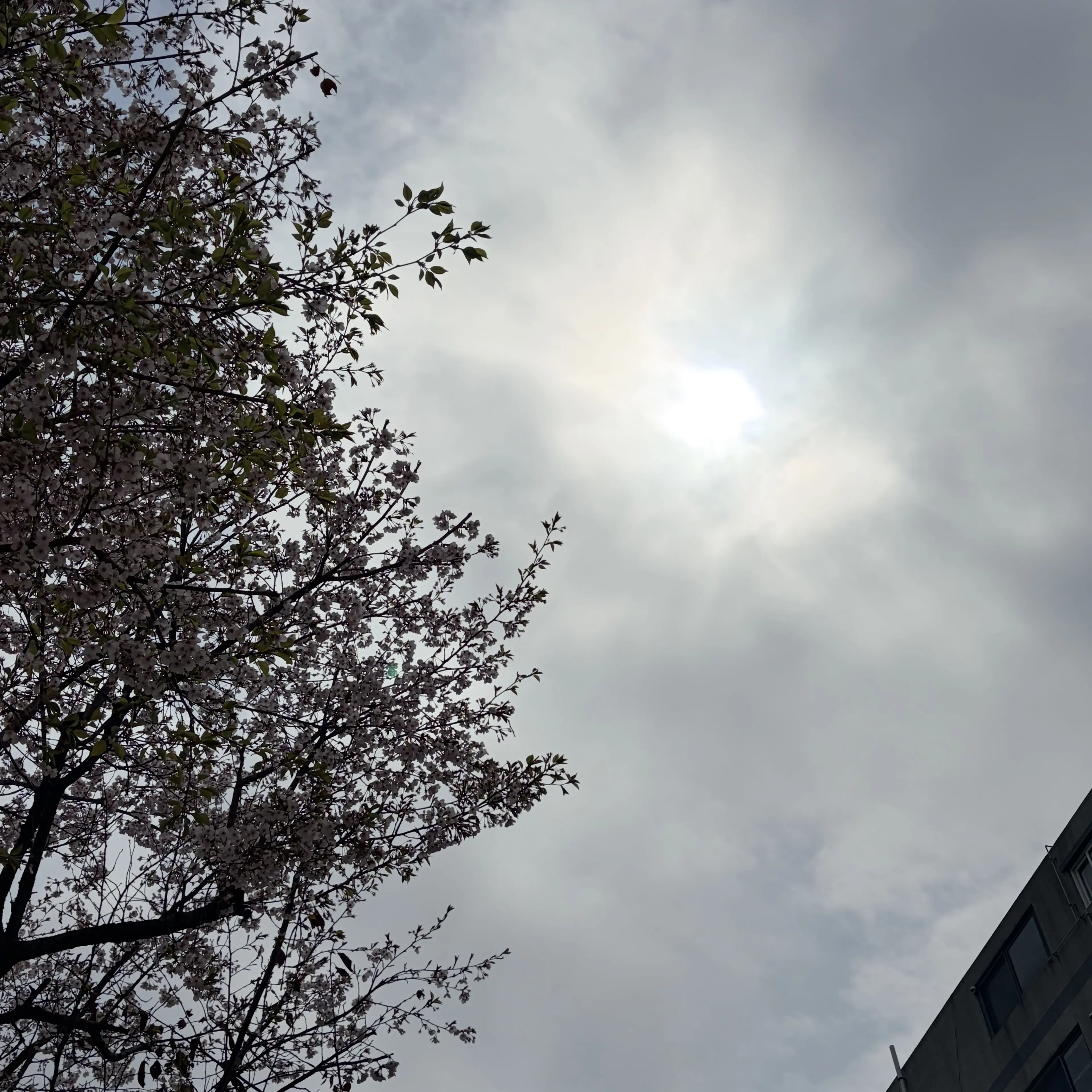 ChillyMoss5003의 나만 안좋아하는 오빠들