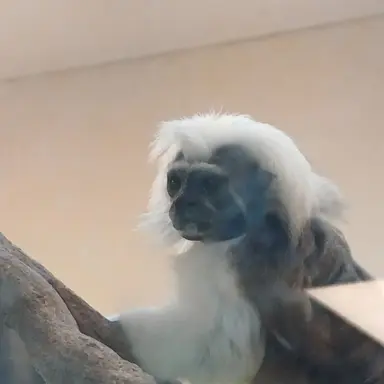 Profile image of 한예림