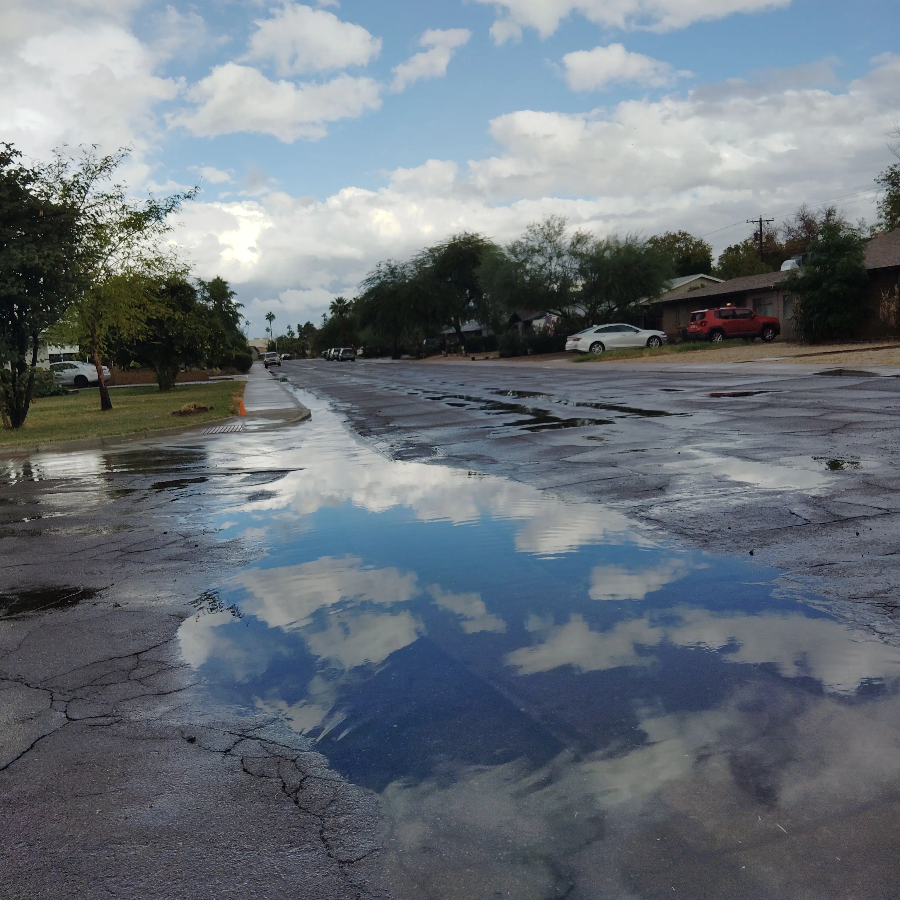 RichShow0939의 Obsessed Criminal