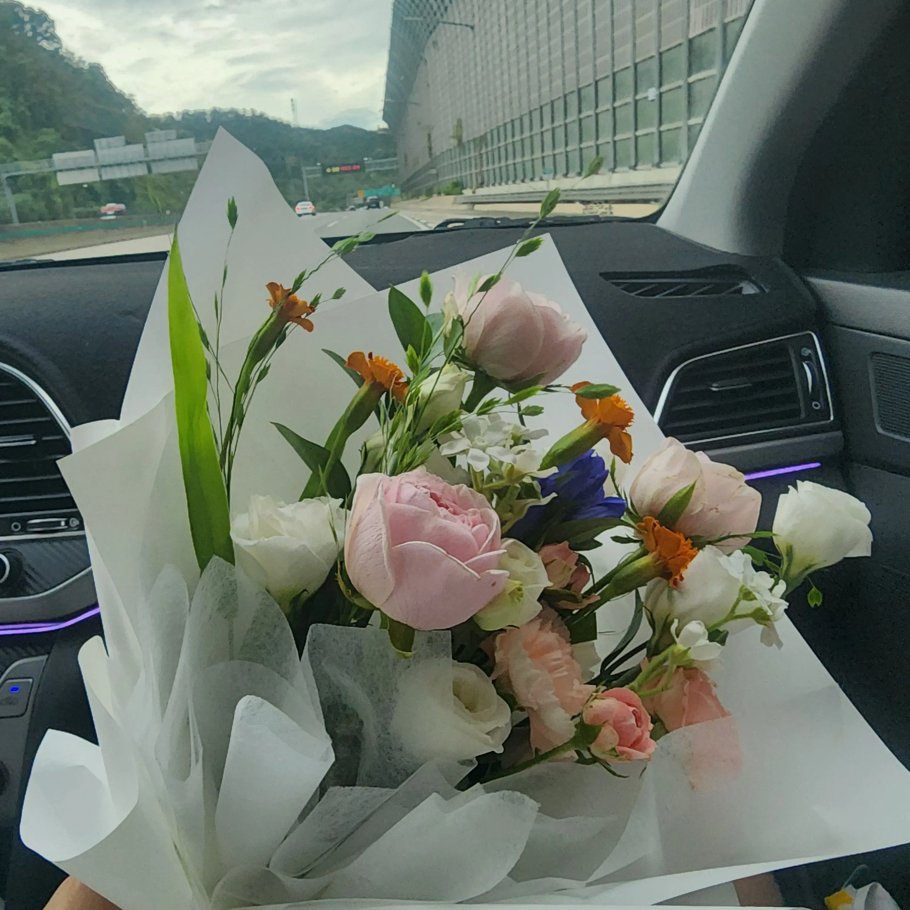 MightyQuail6650의 허니 앤 허니