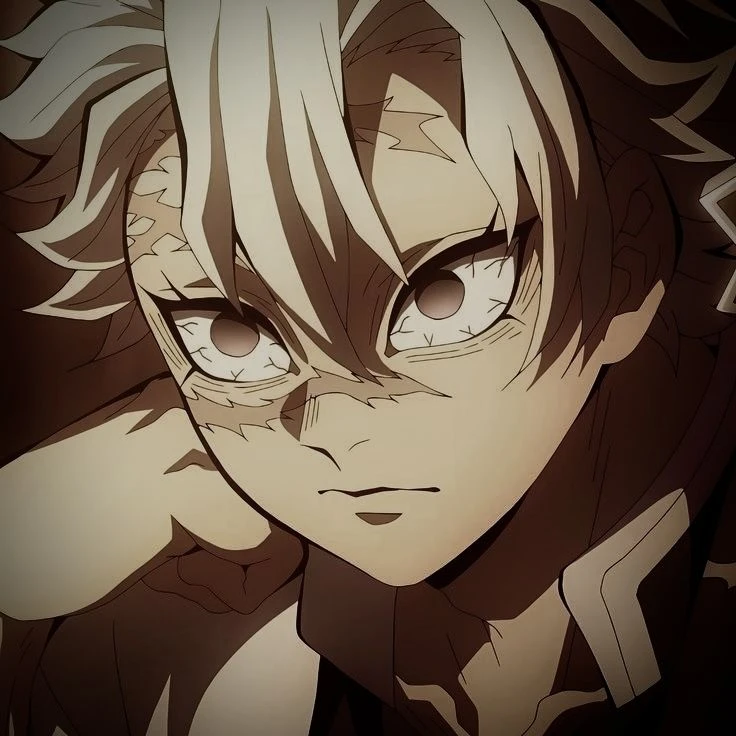 시나즈가와 사네미