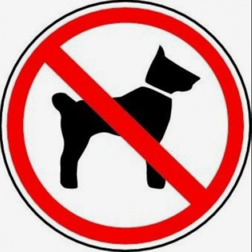 🐕 대표 이미지