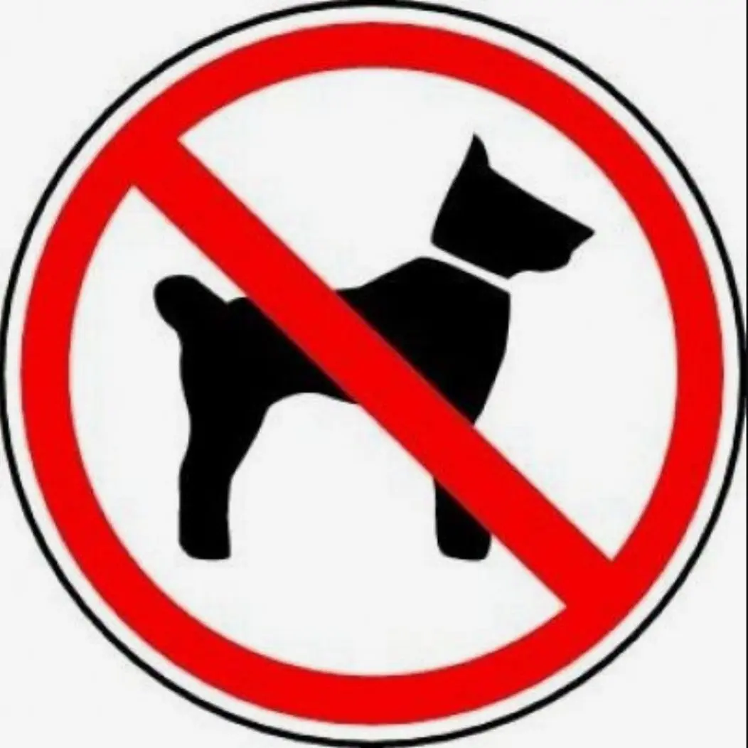 kkijijo의 🐕