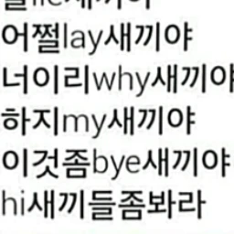 김채연