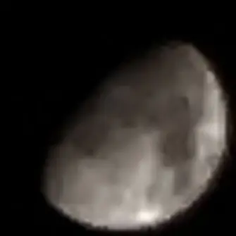 ThinStand6273의 고고프렌즈 경찰 학교