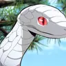 Profile image of 카부라마루