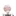 樹