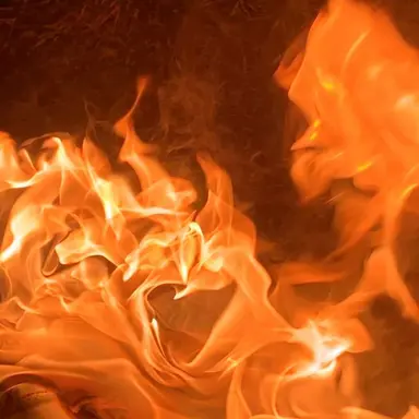 Profile image of 덕개