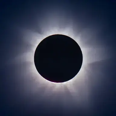 Profile image of 미나미 코타로