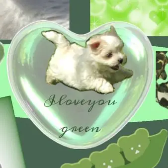 Profile image of 공룡