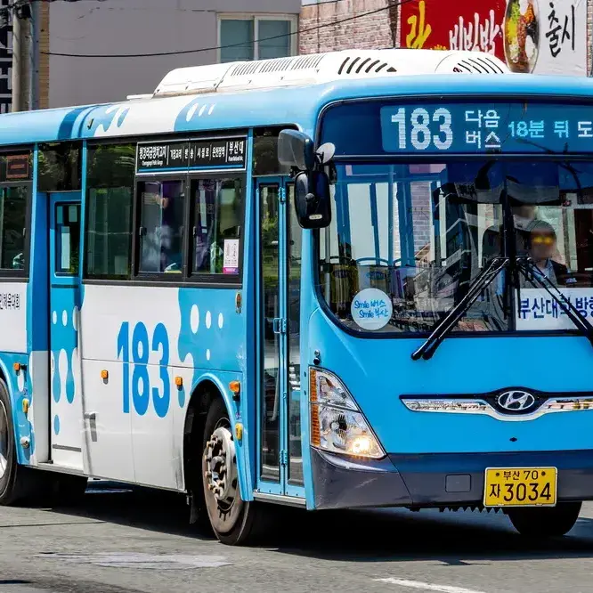 IM_BUSAN171의 부산버스들 6