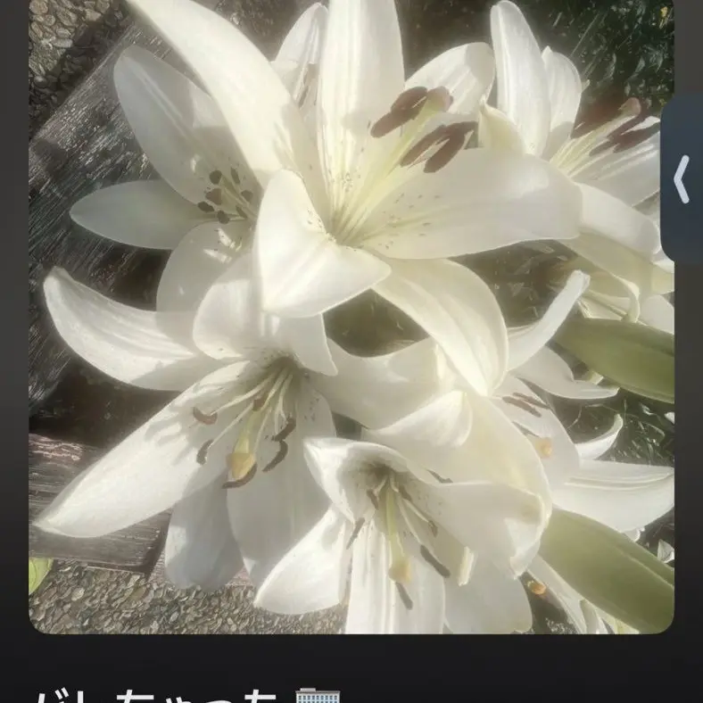 Wanwan_zeta1031의 被検体🏢