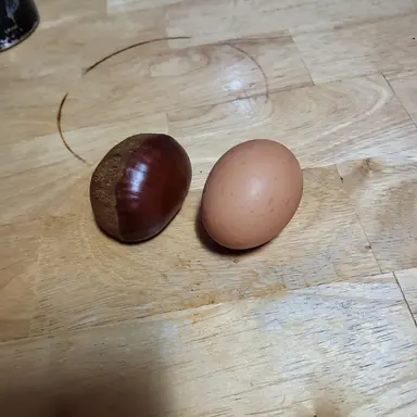 Profile image of 마피오소