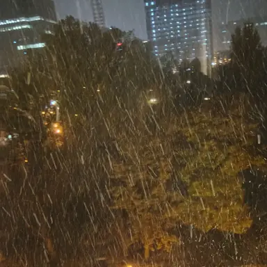 Profile image of 日本