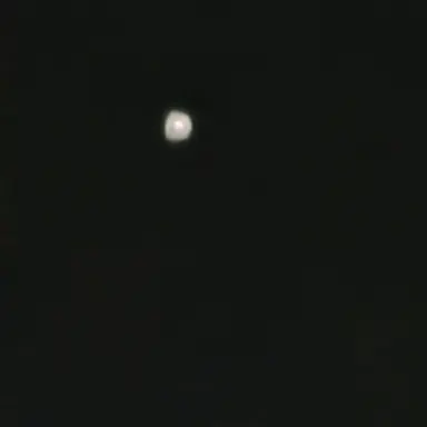 Profile image of 공룡