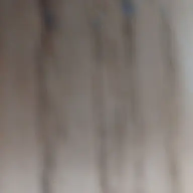 Profile image of 로블ceo