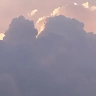 Profile image of 학생들