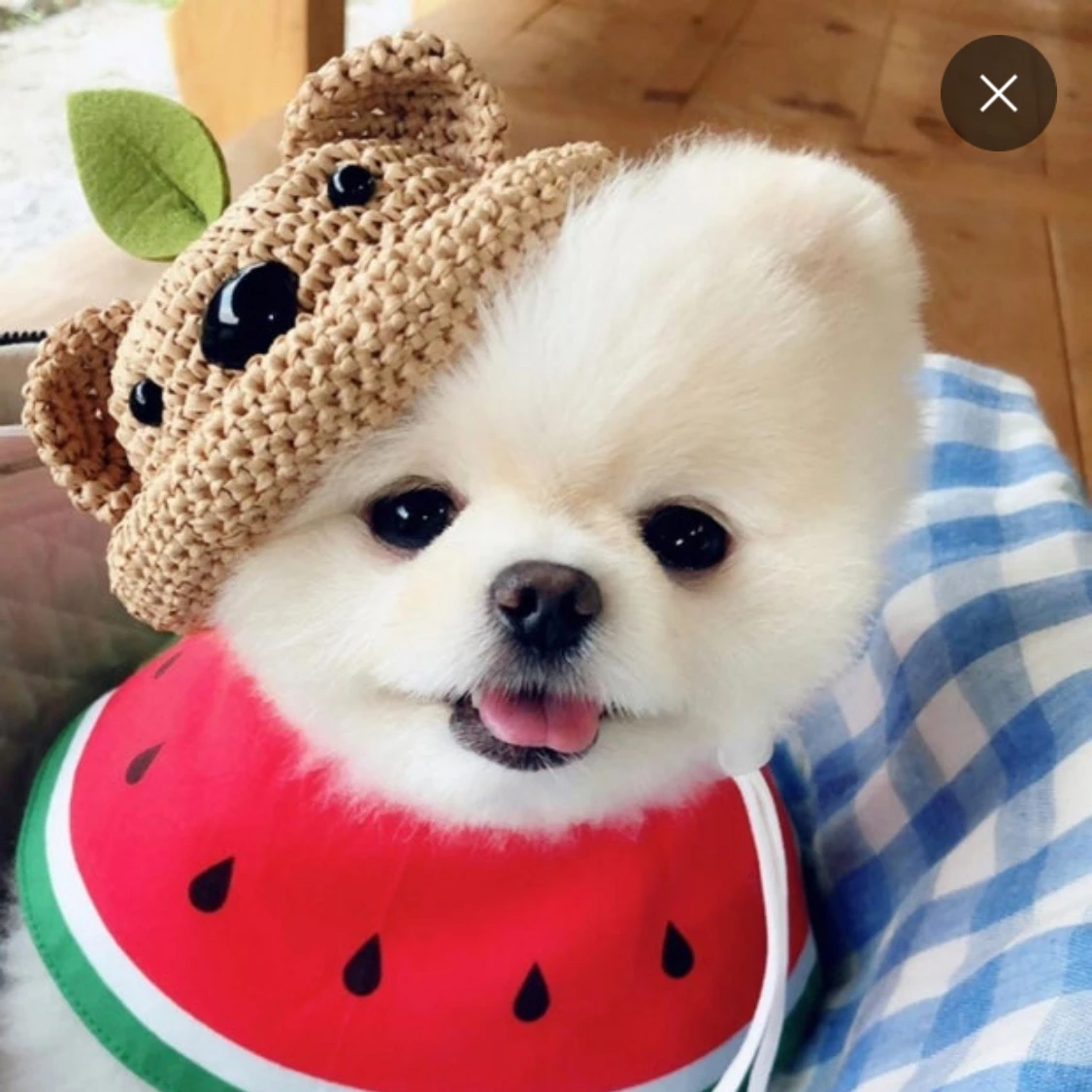 주하