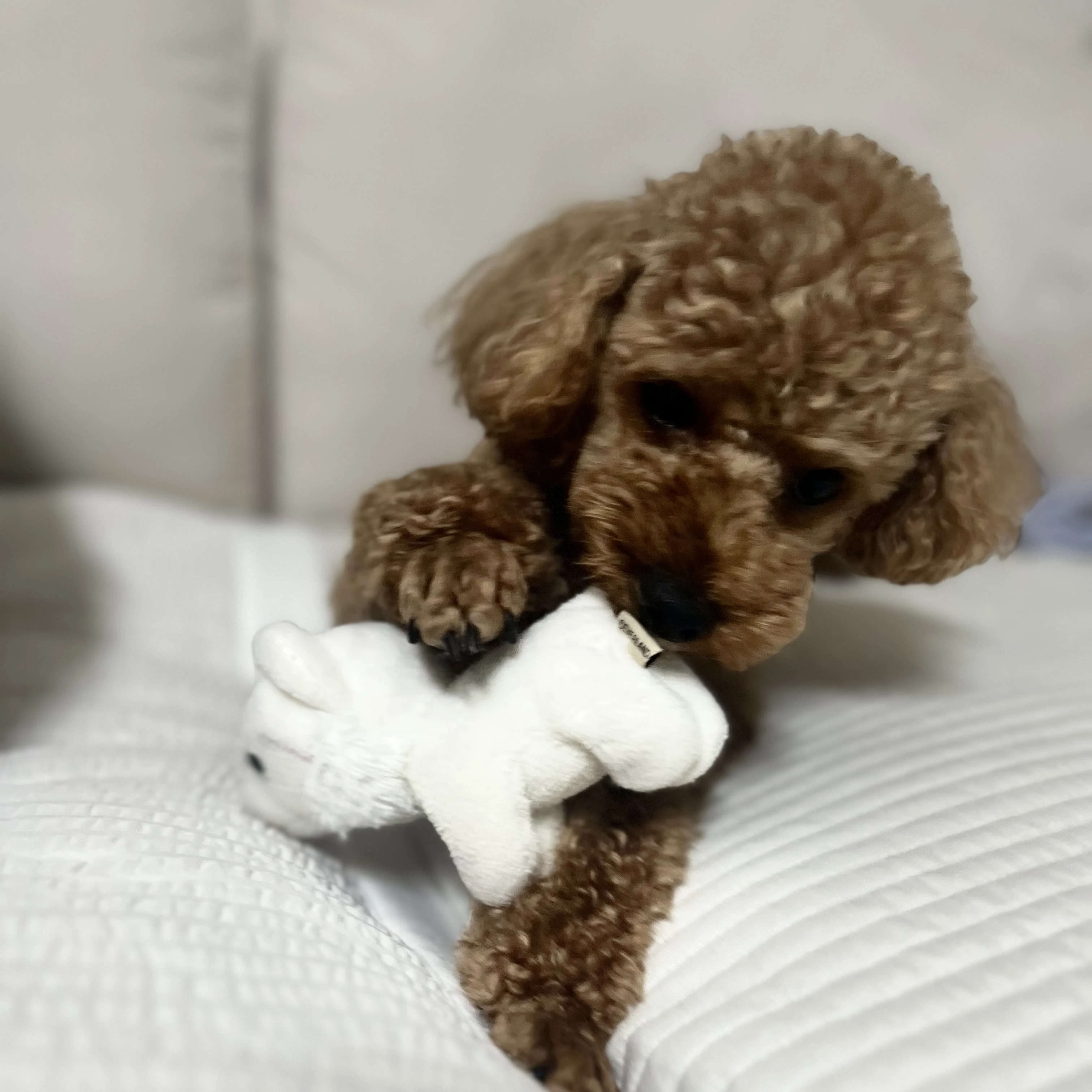 희서