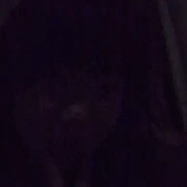 Profile image of 江戸川乱歩