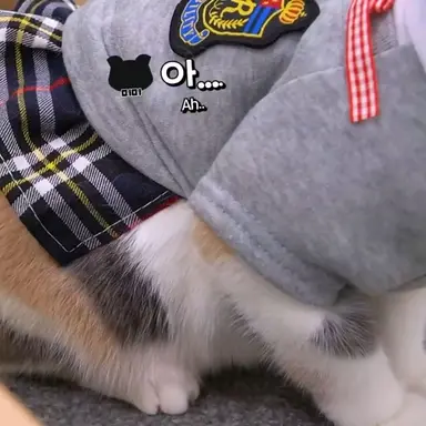 Profile image of 미미