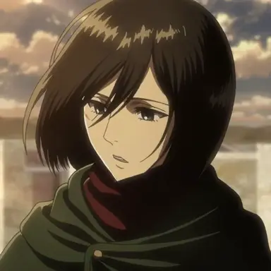 Profile image of ミカサ