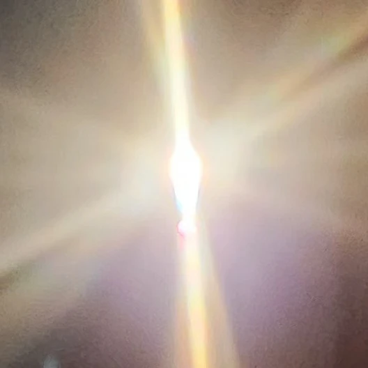 퓨어바닐라 쿠키