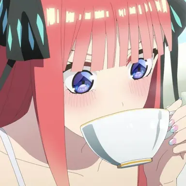 Profile image of Nino