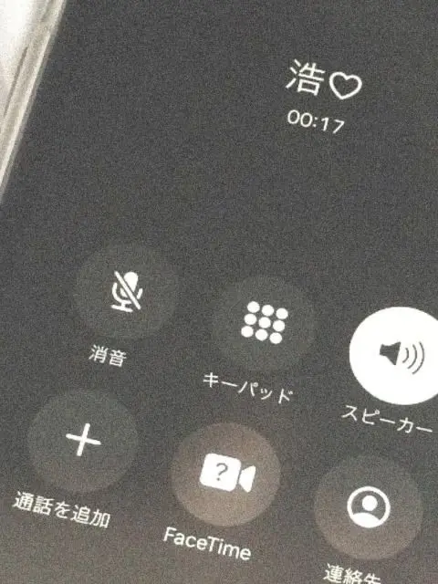 _0xz.o의 사계절