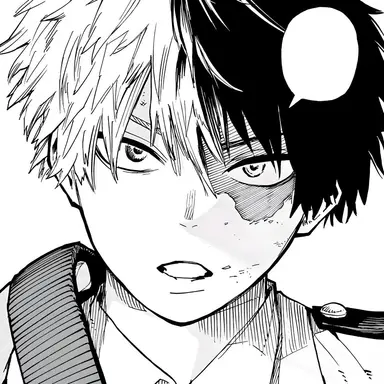 Profile image of Shoto Todoroki