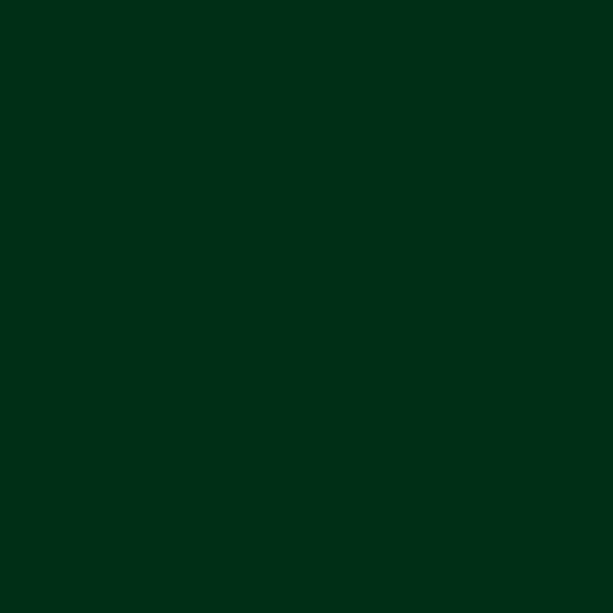 dlsledls의 정공룡