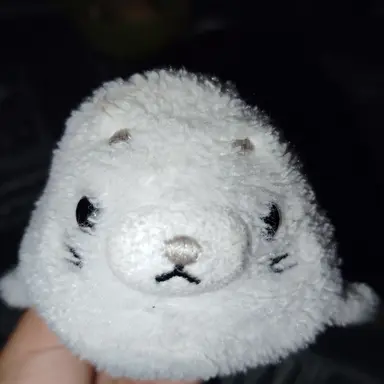 Profile image of もこたん