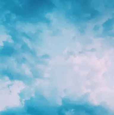Profile image of 벨키