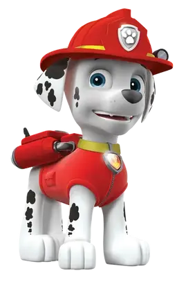 Profile image of 마셜