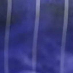 Profile image of 향량