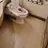 🚽 변기