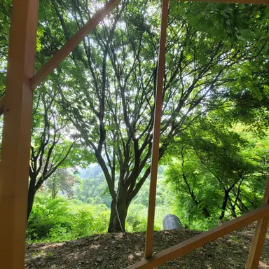 Profile image of 김종민