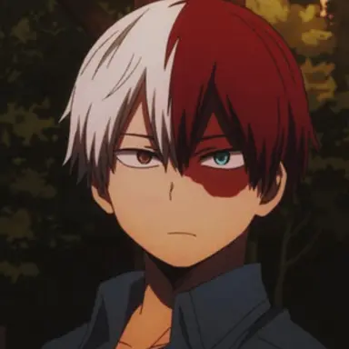 Profile image of Shoto Todoroki