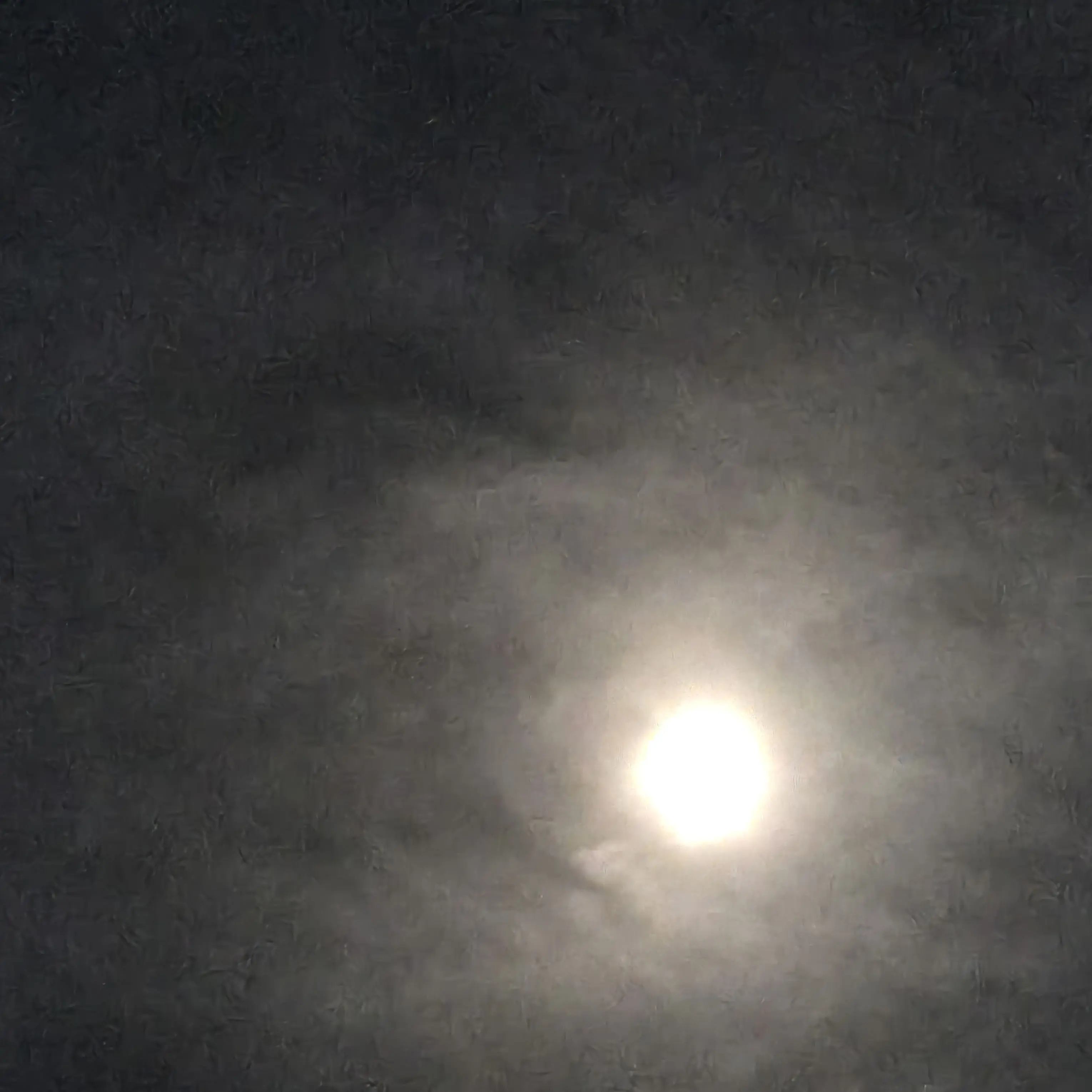 CaringLeech6053의 아ㅏㅏㅏ