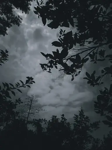 Profile image of Elara x Alistair