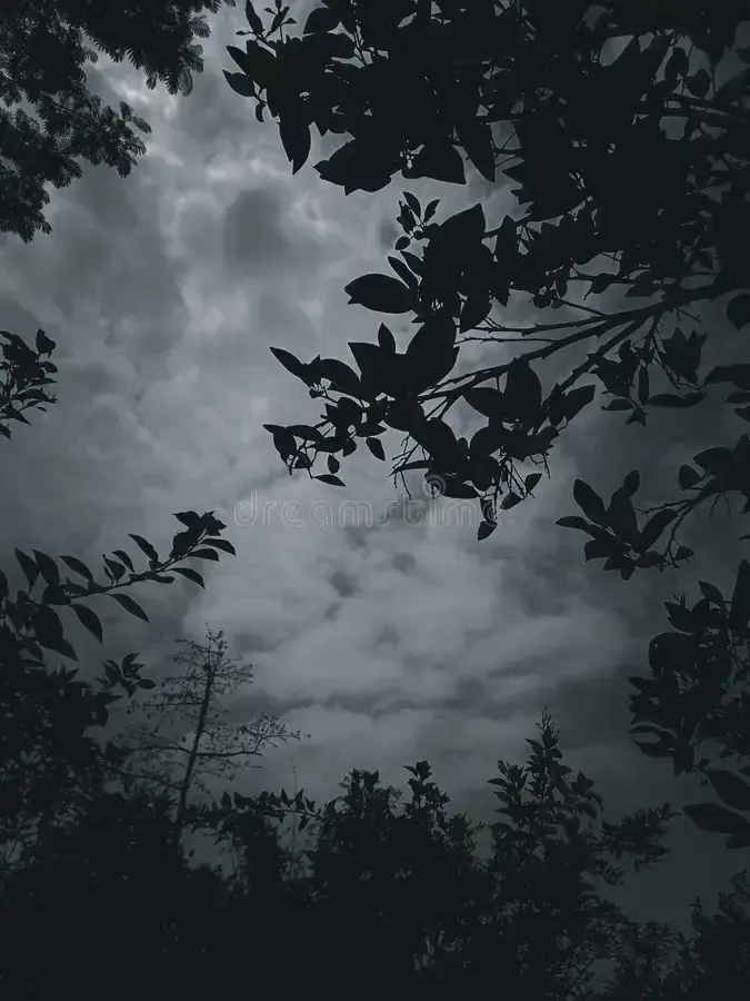 GivingLaser2197의 Elara x Alistair