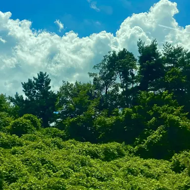 Profile image of 잠뜰