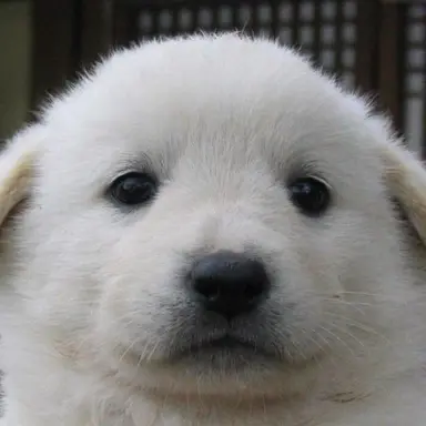 Profile image of 신일영