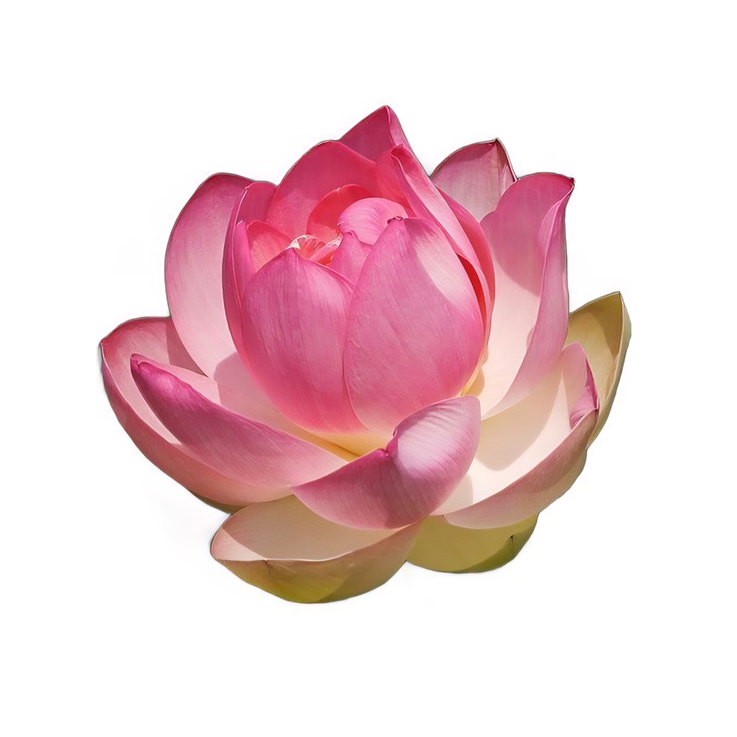 花吉之至毒 대표 이미지