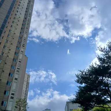 Profile image of 주인장