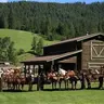 Profile image of Ranch