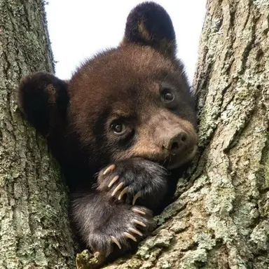 Profile image of 반달이