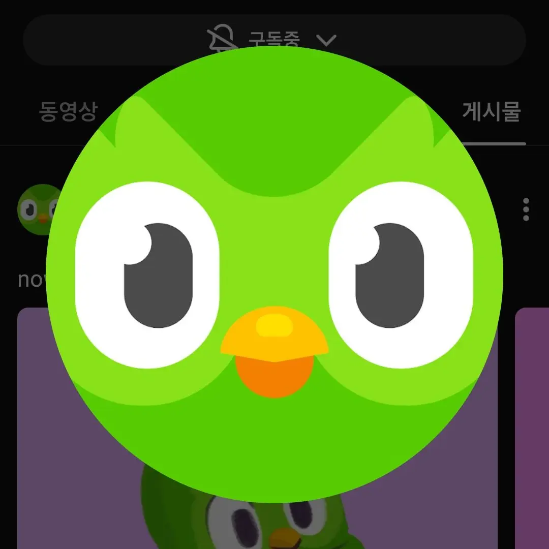 RancidTetra1131의 듀오링고